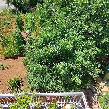 Apartmani Toni Водице Екстериор снимка